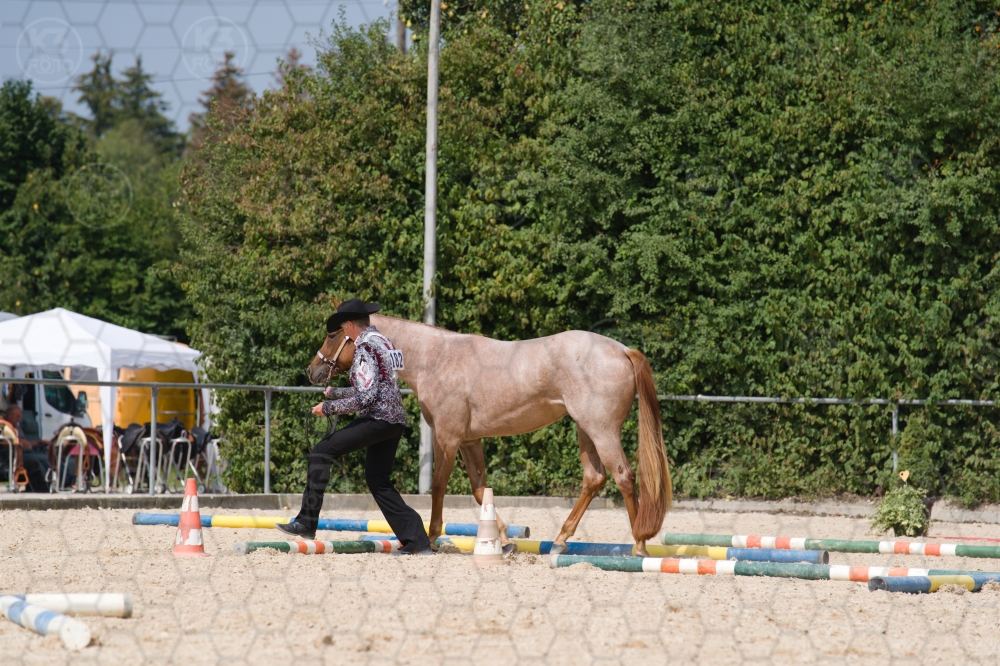 s_batch_A9_00047.jpg